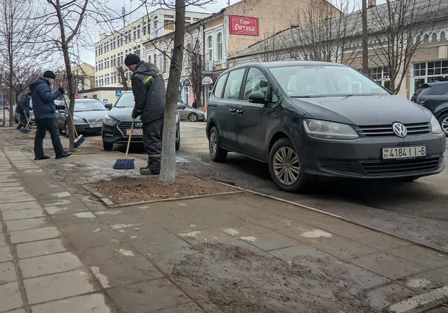 Как «забота» о чистоте наносит вред зеленым насаждениям в Бобруйске: фотофакт