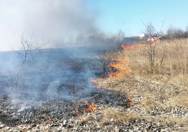 Пенсионер из Бобруйска получил ожоги при сжигании мусора на дачном участке в деревне Старинки