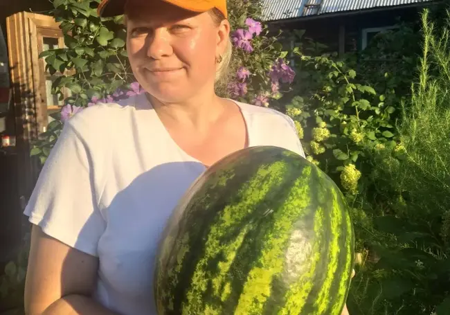 Время сажать арбузы! Дачница из Бобруйска делится своим опытом