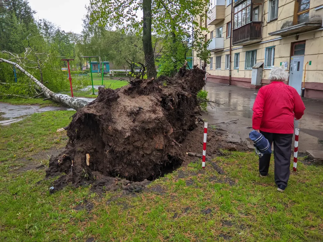 Красный уровень оправдался: скорость ветра в Бобруйске 12 мая достигала 25  м/с | bobruisk.ru