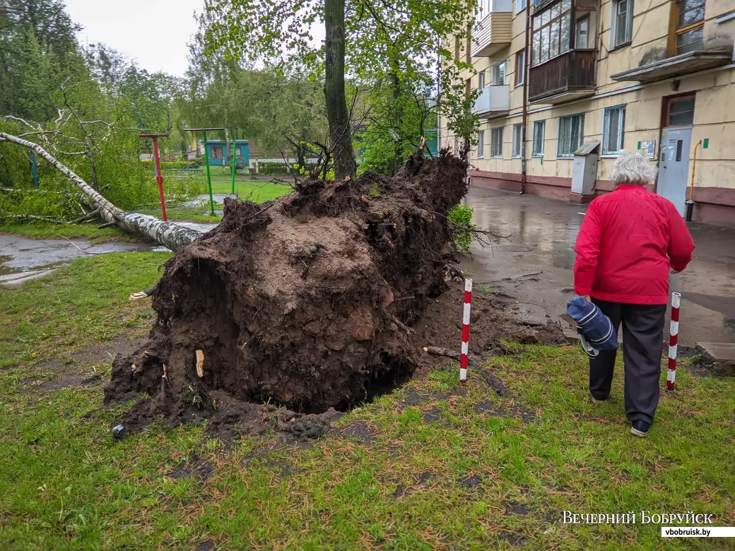 Эхо трагедии на Минском море: как распознать смерч и спастись от него |  bobruisk.ru