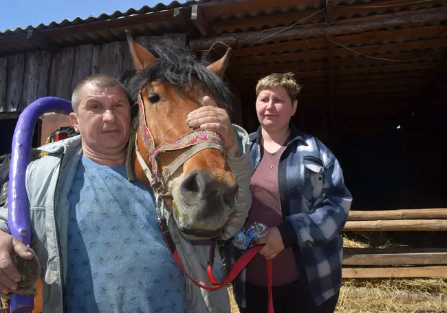 «Разве я мотоблок поглажу и поговорю с ним?» Супруги из Бобруйска держат лошадь для души, езды и приработка