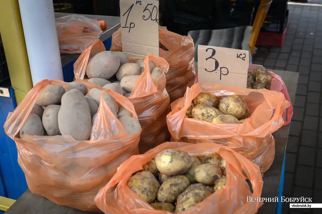 Производство картофеля в Беларуси за 2022 год выросло на 23%