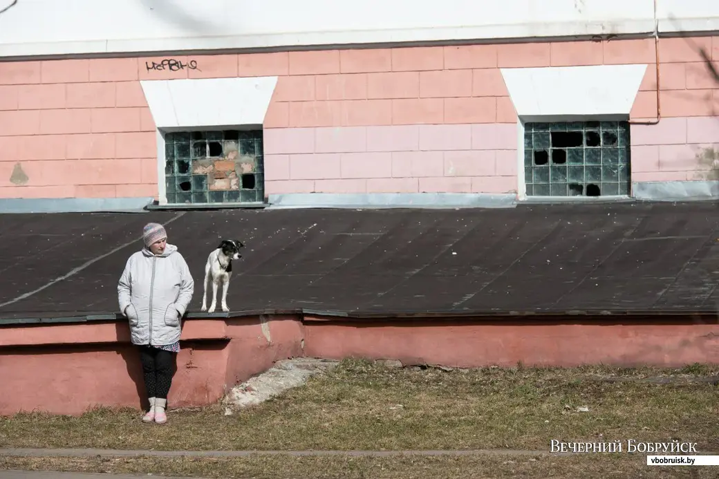 Доставка цветов в г Бобруйск