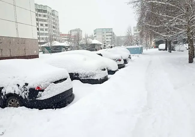 В воскресенье в Беларуси ожидается метель и штормовой ветер