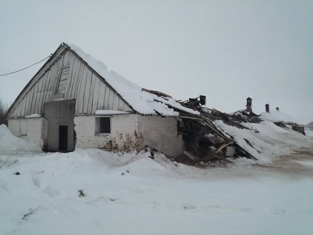 В Могилевской области за сутки обрушились кровли трех зданий из-за снеговой  нагрузки | bobruisk.ru