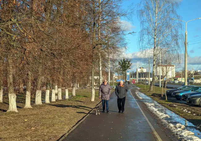 Вслед за Новым годом в Бобруйск пришла настоящая весна. Наш фоторепортаж