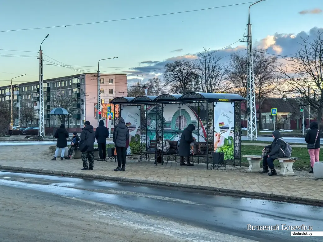 В Бобруйске парень ударил мужчину в троллейбусе за сделанное замечание |  bobruisk.ru