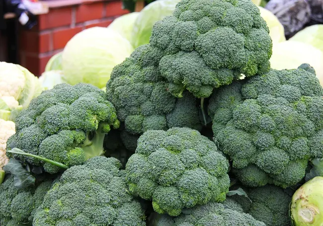 На что обратить внимание при выборе брокколи: признаки свежей и вкусной капусты