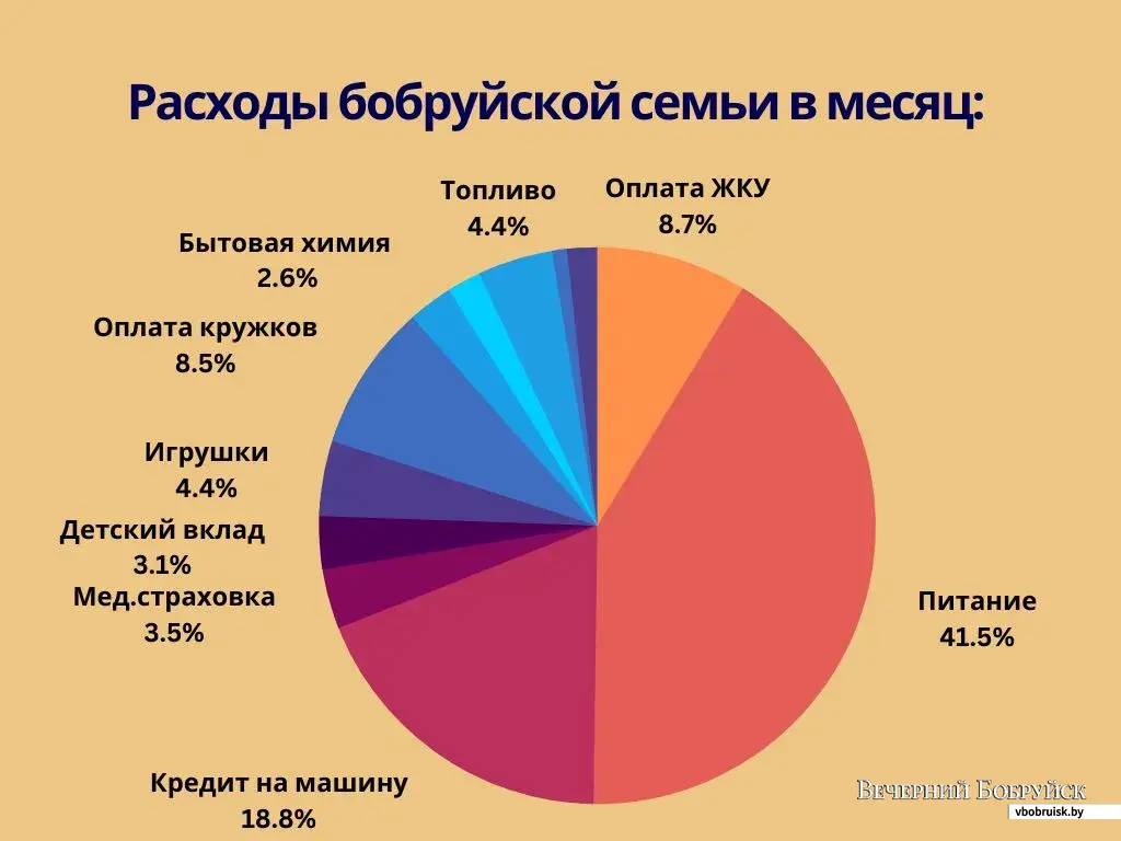 Для учета доходов-расходов использую специальное приложение». О бюджете  своей семьи рассказала мама в декрете | bobruisk.ru