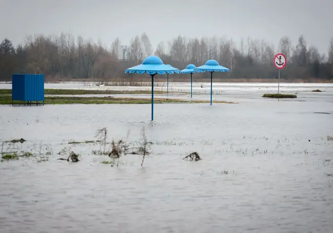 Паводок на Березине:  вода на санаторском пляже в Бобруйске дошла до аллеи