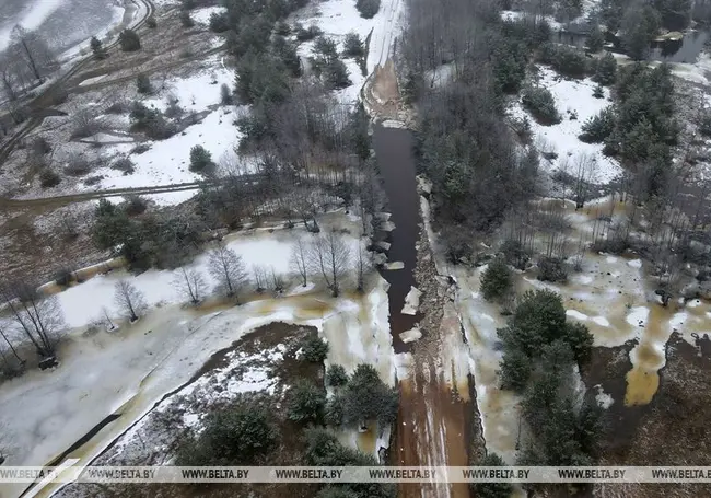 Переполнившаяся талыми водами Друть затопила мост и дорогу к Городищу