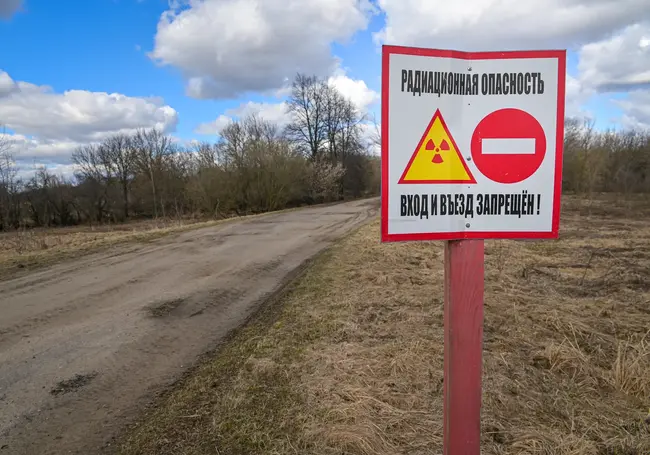 Эколог: Беларусь полностью избавится от радиоактивного загрязнения к 2090 году