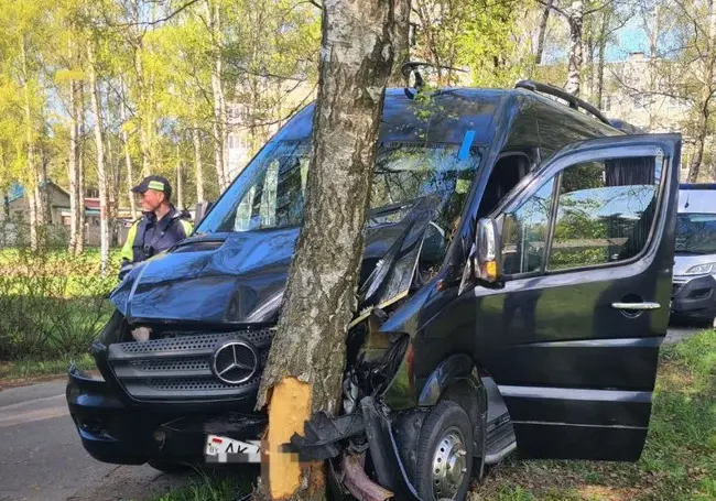 В Минском районе микроавтобус врезался в дерево