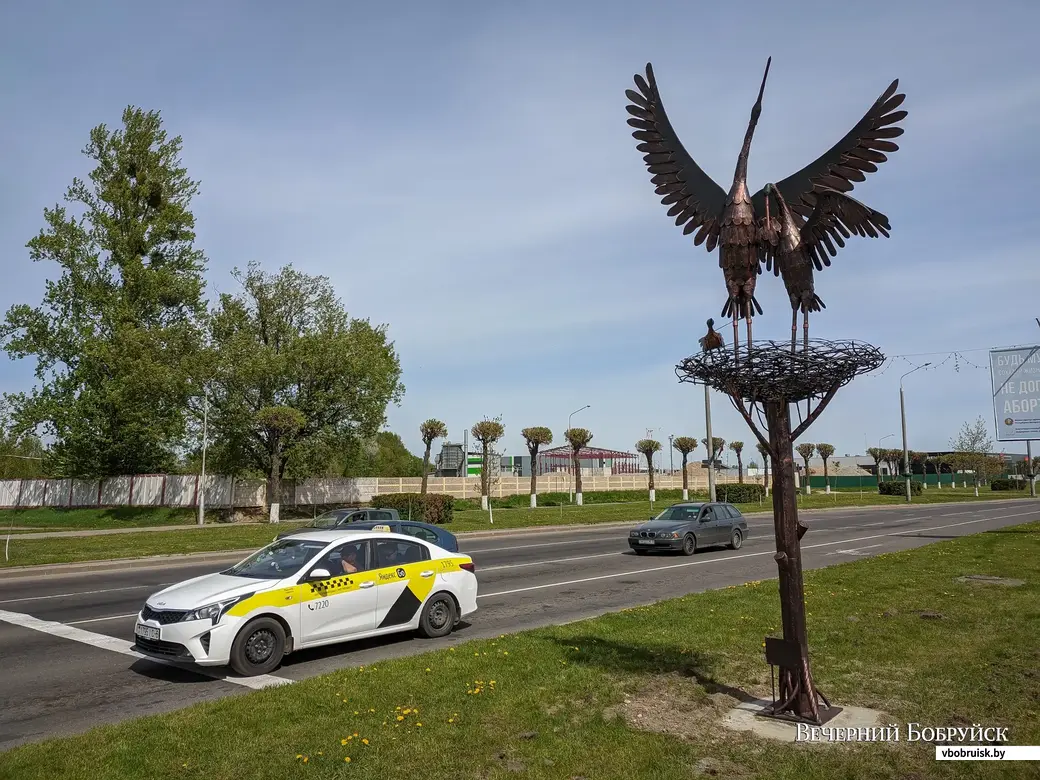 Металлическая скульптура аистов на Георгиевском проспекте в Бобруйске: фото  для тех, кто еще не видел | bobruisk.ru