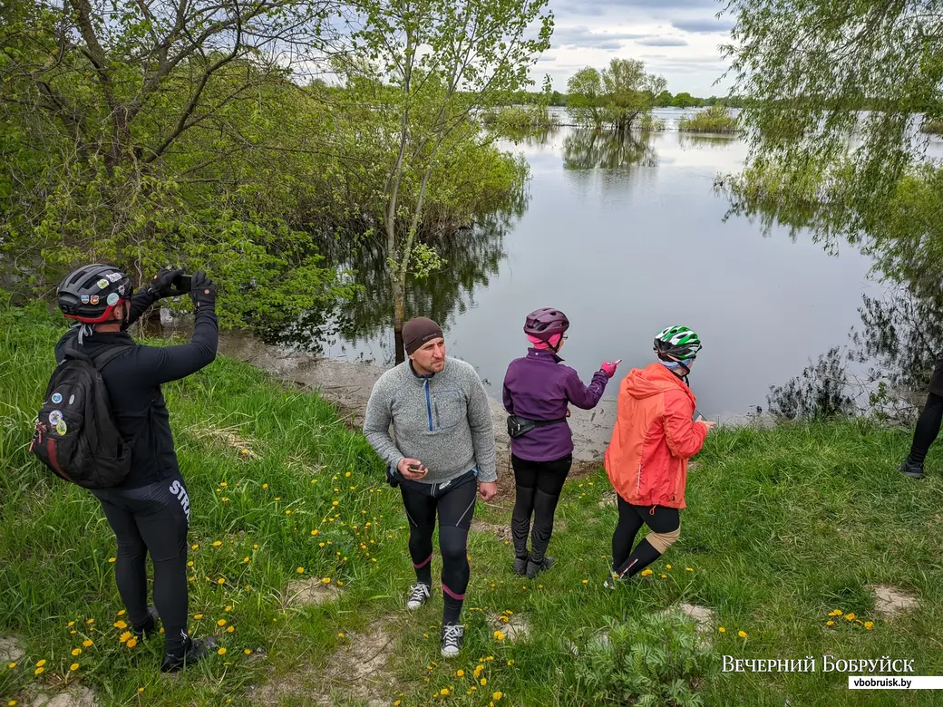 По морю Геродота на двух колесах. На Припять за разливами отправились  бобруйские велотуристы | bobruisk.ru