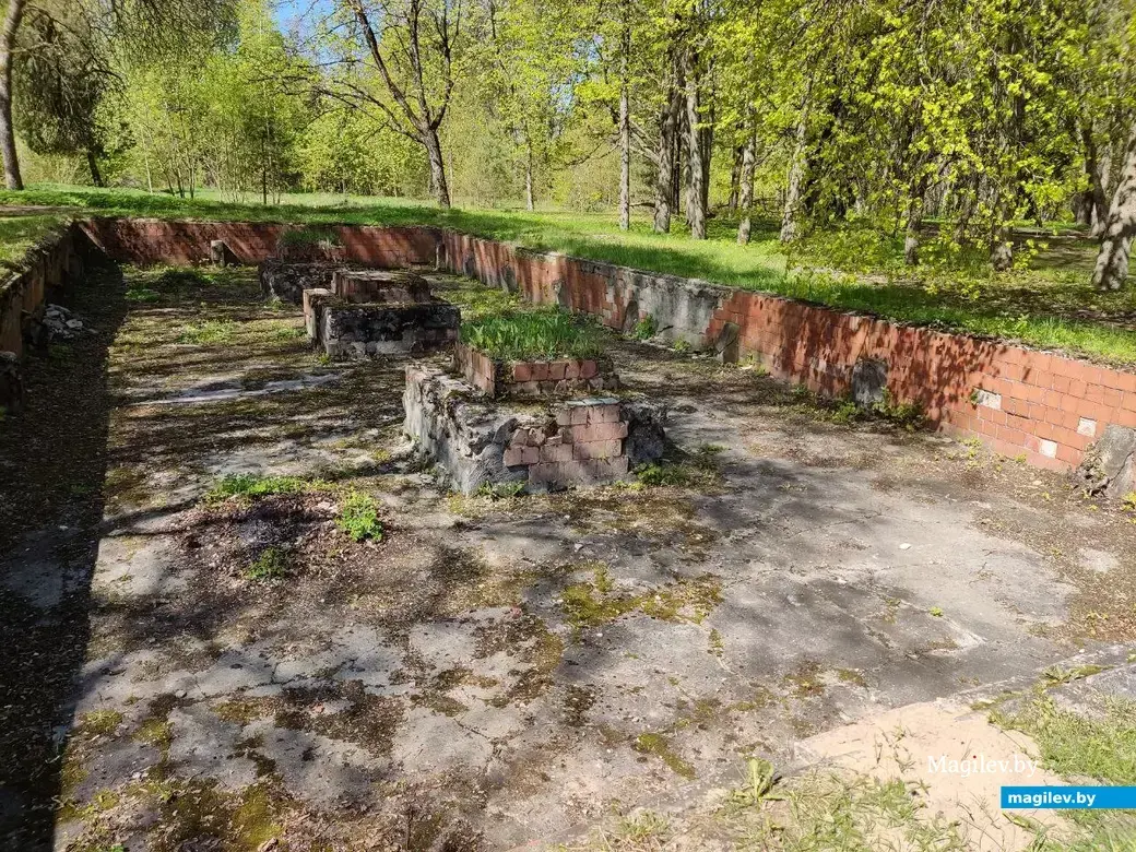 Путешествие одного дня: на «графских развалинах» в деревне Грудиновка |  bobruisk.ru