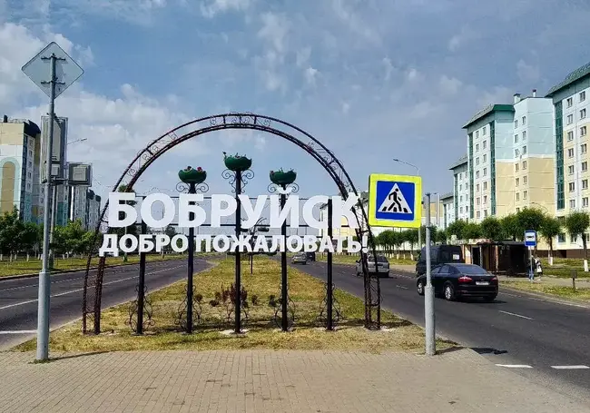 Въезд в Бобруйск украсила декоративная арка. Узнали, как создавали «гостевые ворота»