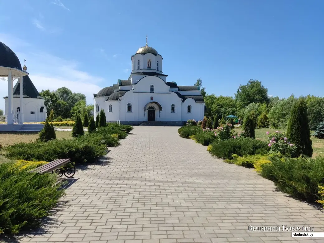 ПЕРСПЕКТИВЫ ЛЕКАРСТВЕННОГО РАСТЕНИЕВЕДЕНИЯ