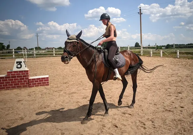 Покататься верхом на спортивной лошадке: могилевчане организовали частную конюшню