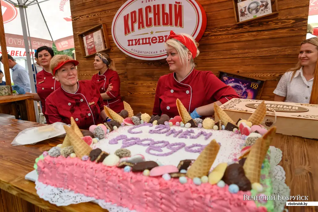 В Бобруйске в новогоднюю ночь откроется городской телеканал