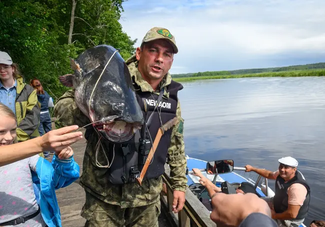 Песни под гитару и сом весом 28 кг: наш фоторепортаж с «Большой бард-рыбалки» в Быховском районе