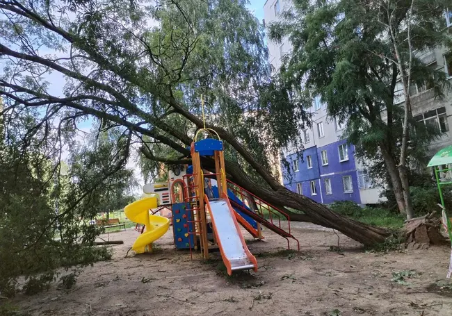 Детские площадки под деревьями и летающие бигборды: что натворила непогода в Могилеве 7 августа. Фото и видео