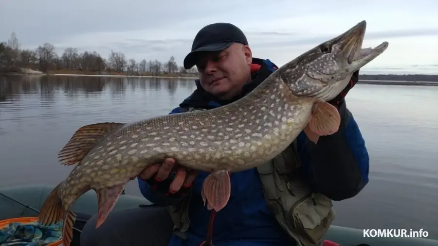 Платная рыбалка недалеко от Минска и в Беларуси