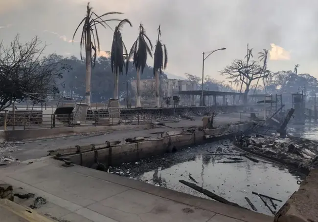 Пожары на Гавайях: десятки погибших, город Лахайна сгорел дотла