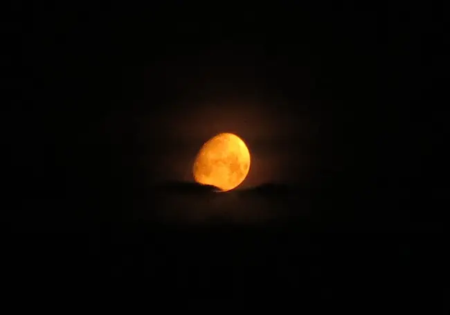 Суперлуние можно увидеть в ночь на 31 августа, но уже сейчас Луна впечатляет. Фотофакт