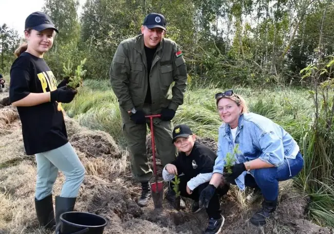 Сыщики Могилевщины посадили лес. Фотофакт