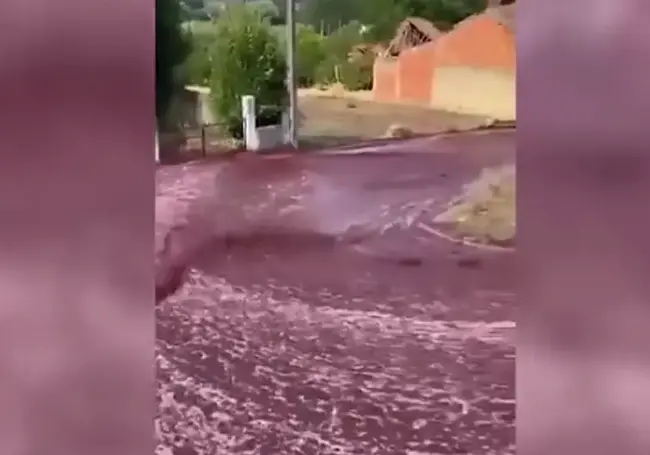 В Португалии город затопило красным вином