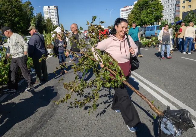 «Больше пробуют, чем покупают». В Бобруйске стартовали осенние сельхозярмарки