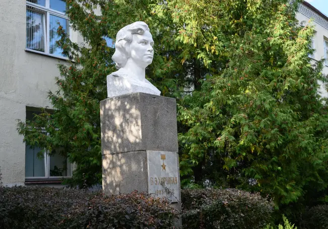 «Если я буду направлена в лагеря, я не раскисну и не размочалюсь». К юбилею нашей землячки Веры Хоружей