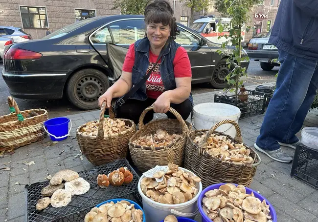 «При норме в 370 проверка радиации показала 0». Почем продают дары леса на «Центральном» рынке в Могилеве