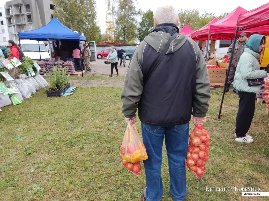 Капусты не нашли, придется солить картошку: сходили в Могилеве на  сельхозярмарку, приценились, закупились | bobruisk.ru