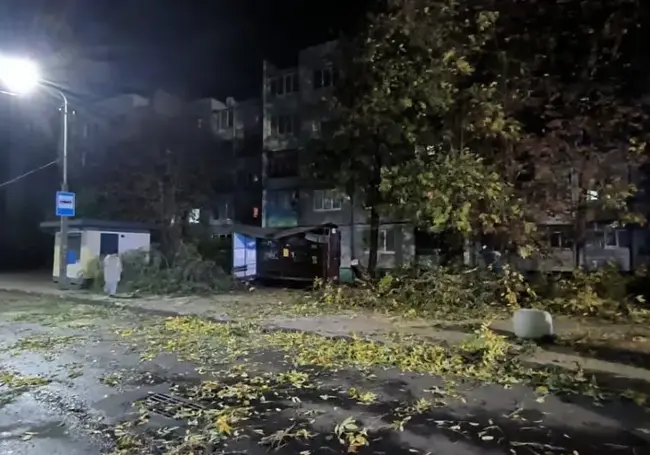 В Могилеве ветер повалил дерево на пристройку жилого дома, а в Бобруйске – на автобусную остановку