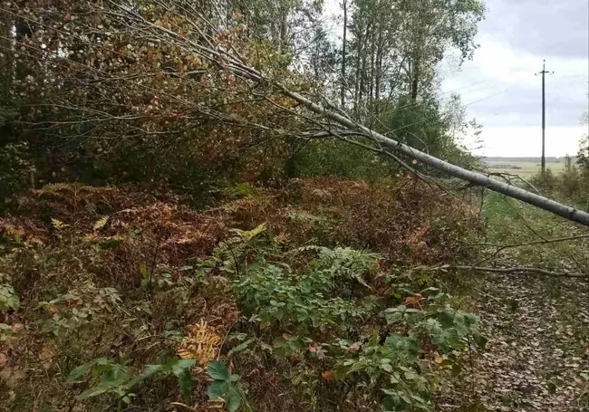 За прошедшие сутки электроснабжение нарушалось в 842 населенных пунктах