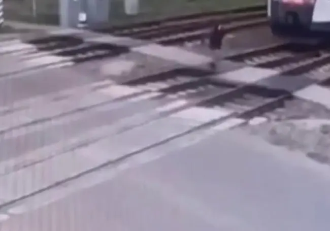 В Быхове скоростной поезд сбил пенсионерку