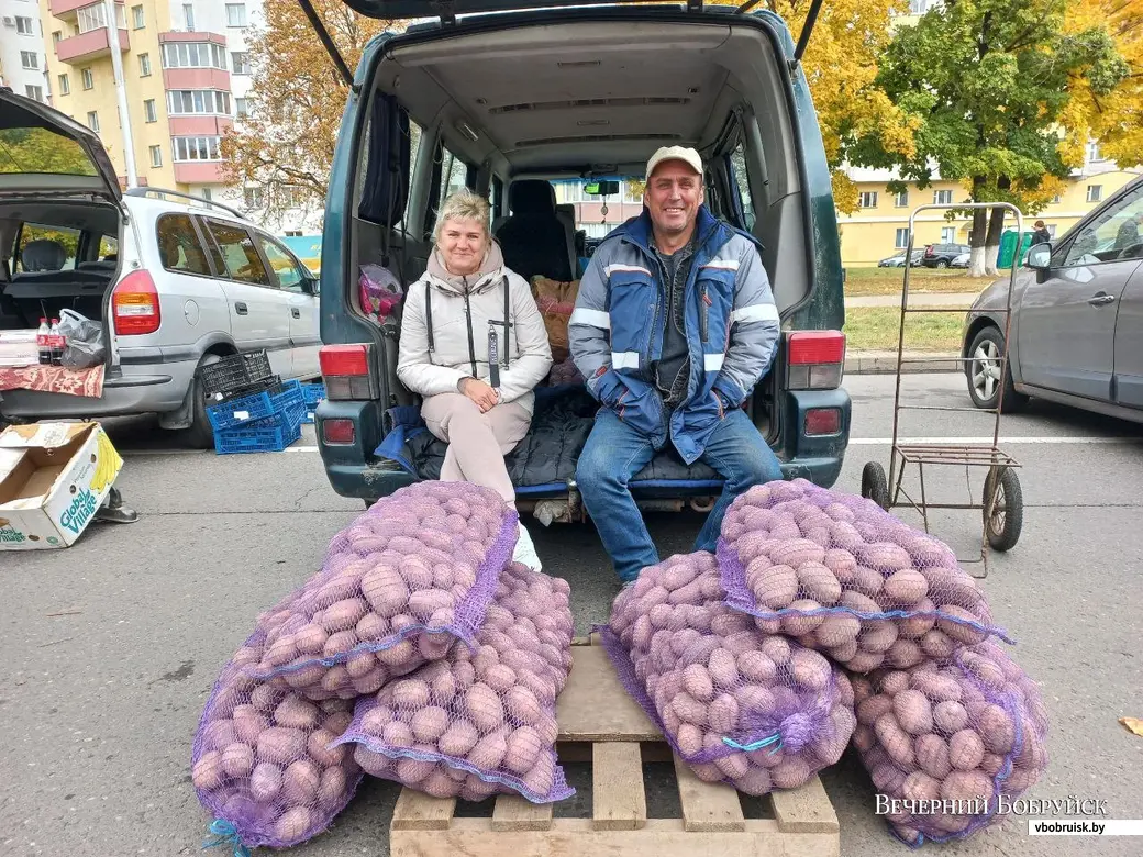 Не хочется за бесценок продавать свой труд». Почем в Бобруйске яблоки и где  заказать картофель с доставкой | bobruisk.ru