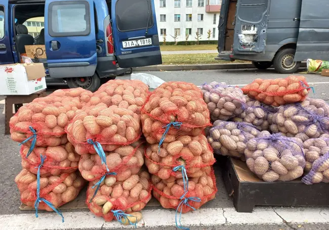 МАРТ не будет регулировать цены на белорусские овощи и фрукты