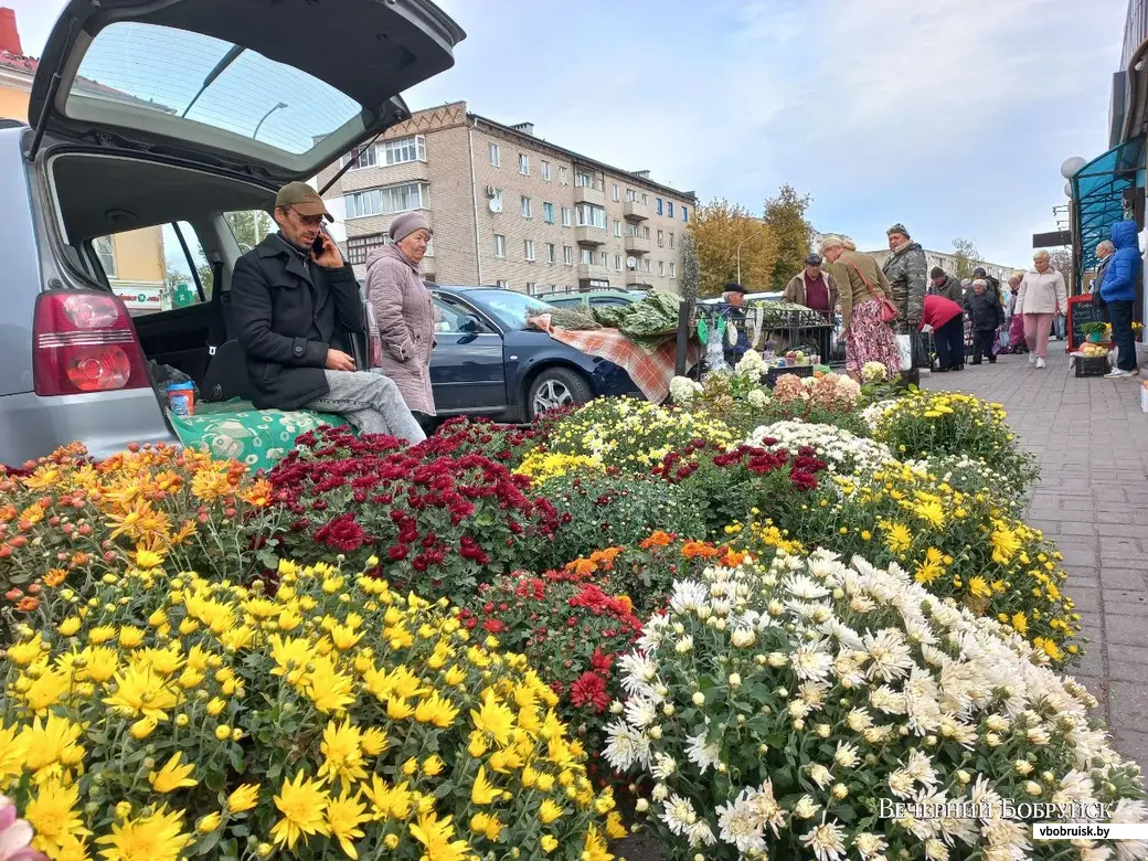 В Бобруйске девушка перепутала педали и перевернула авто. Видео