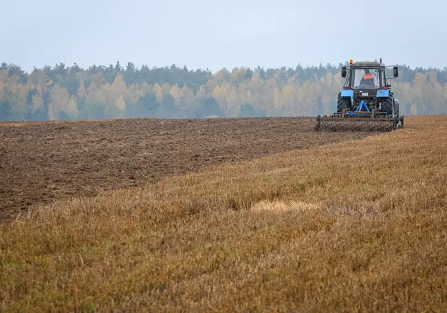 В Могилевской области после вмешательства КГК в сельхозоборот вовлечено около 300 га земель