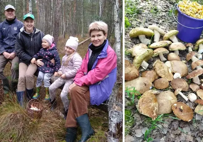 «Лучший результат этого года – 104 боровика и 88 подосиновиков». Наш грибной фотоконкурс «Ай да улов!» продолжается