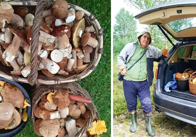 1000 боровиков из-под Дубовки! Наш грибной фотоконкурс «Ай да улов!» продолжается