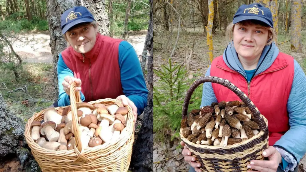 Анна Шевчук из Бобруйска. Боровики и сморчки, собранные в Дубовке.