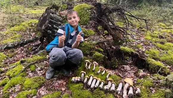 Грибалка в деревне Бервы Глусского района. Фото Марины Дроздовой.