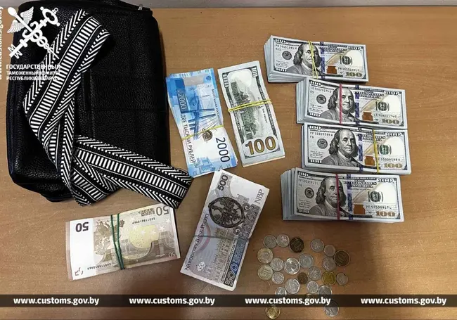 Гражданка Украины пыталась ввезти в Беларусь около 42 тысяч долларов без декларации