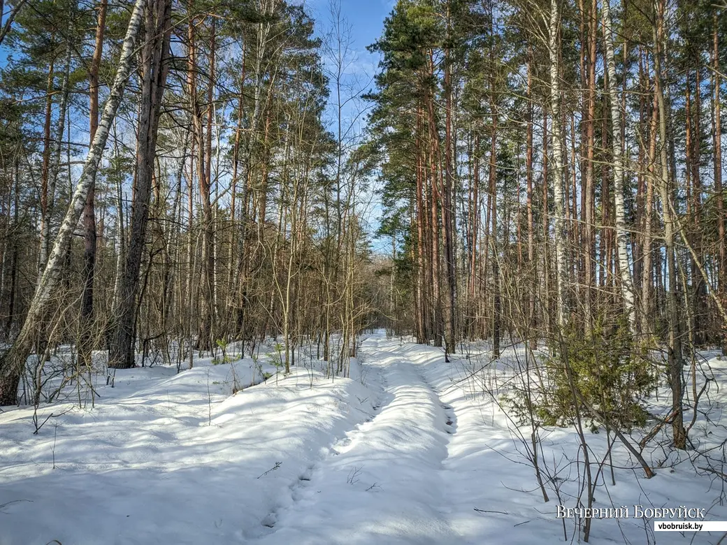 Как в XIX веке бобруйчане в Минск (не)ездили | bobruisk.ru