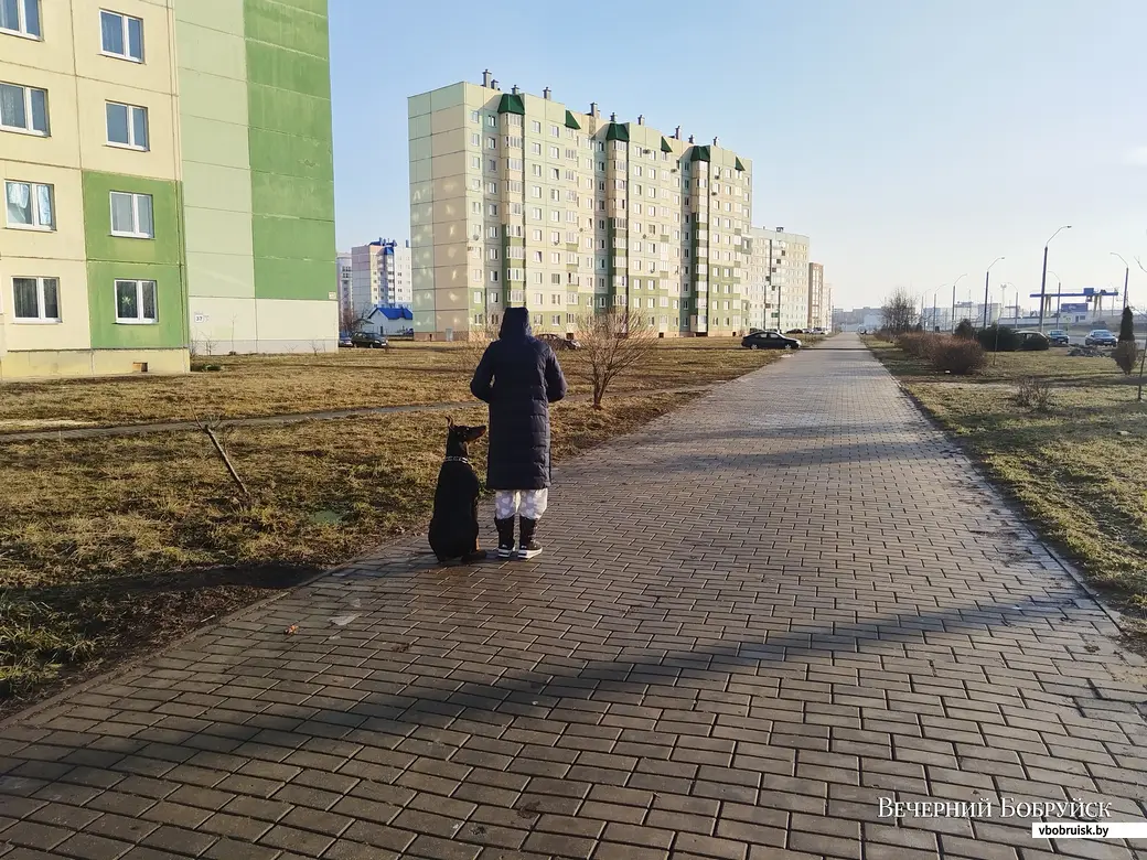 Только у меня такой оттенок зубов?» Жизнь глазами могилевчан | bobruisk.ru